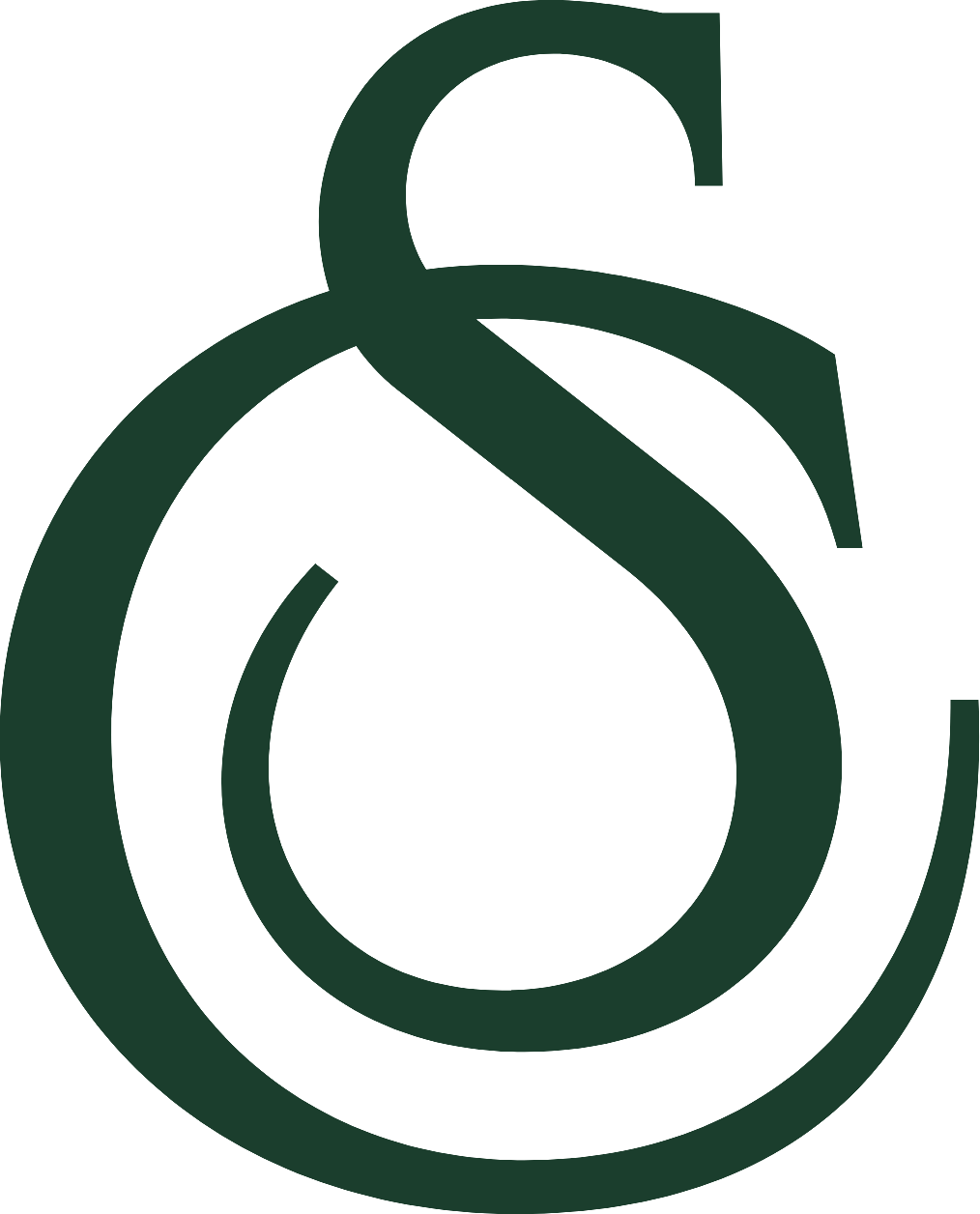 CEO Social Lab