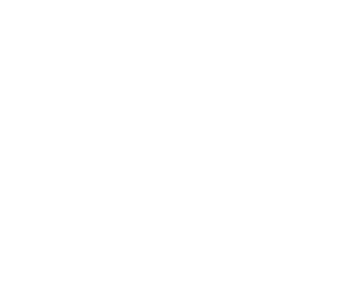 CEO Social Lab